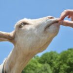 一生懸命が報われない理由、少し考えてみませんか？